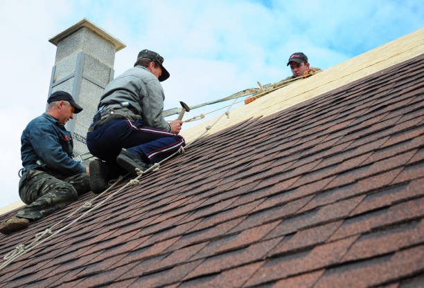 Quick and Trustworthy Emergency Roof Repair Services in Casa Loma, CA